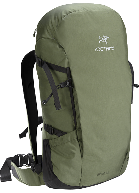 Brize 32 Backpack Joshua Tree