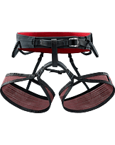 R·275 LT Homme