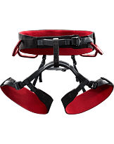 R·320a Homme