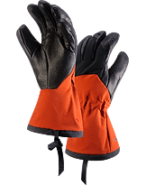 Zenta AR Glove Men's