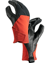 Zenta LT Glove Men's