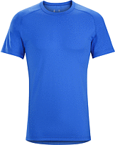 キャプティブ T シャツ メンズ