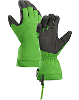 フィション グローブ