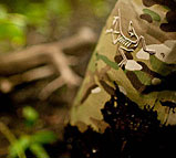 Arc'teryx LEAF
