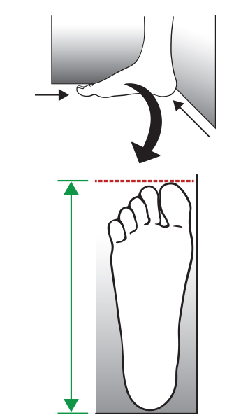 如何测量脚的尺寸