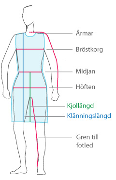 Dress Sizing