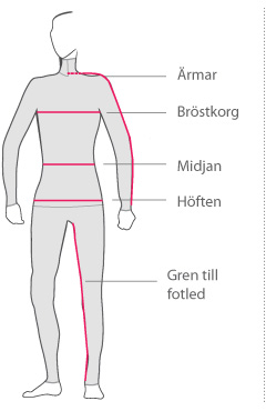 Women's Sizing Illustration