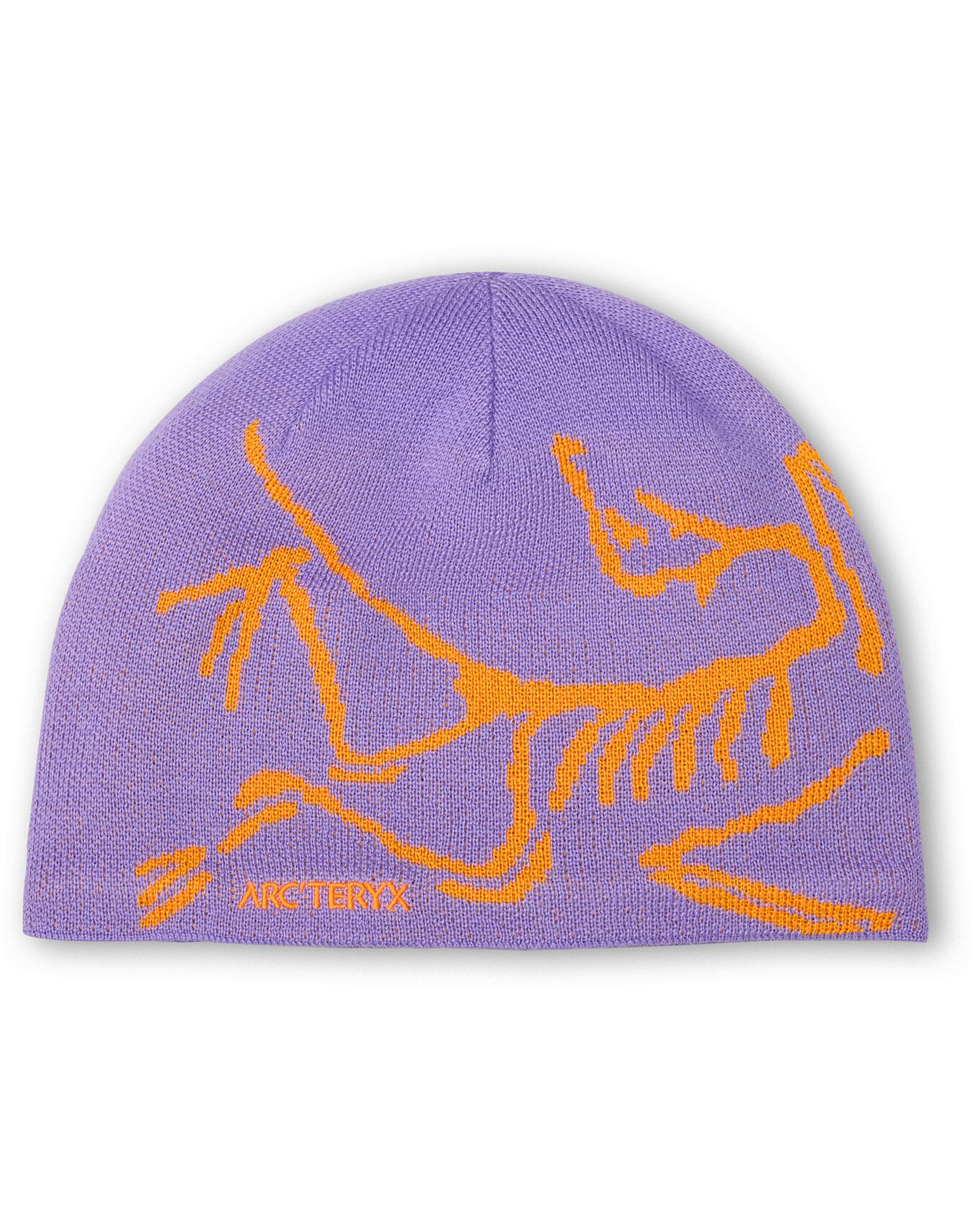 ARC'TERYX Bird Head Toque ビーニ Bird Head Toque | Footprint USA