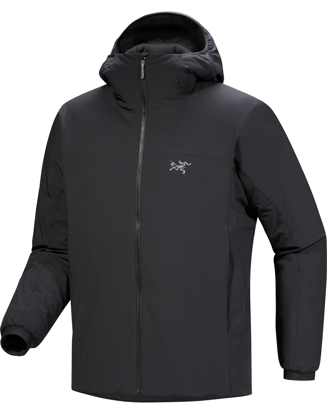 Epsilon Insulated Hoody Men's