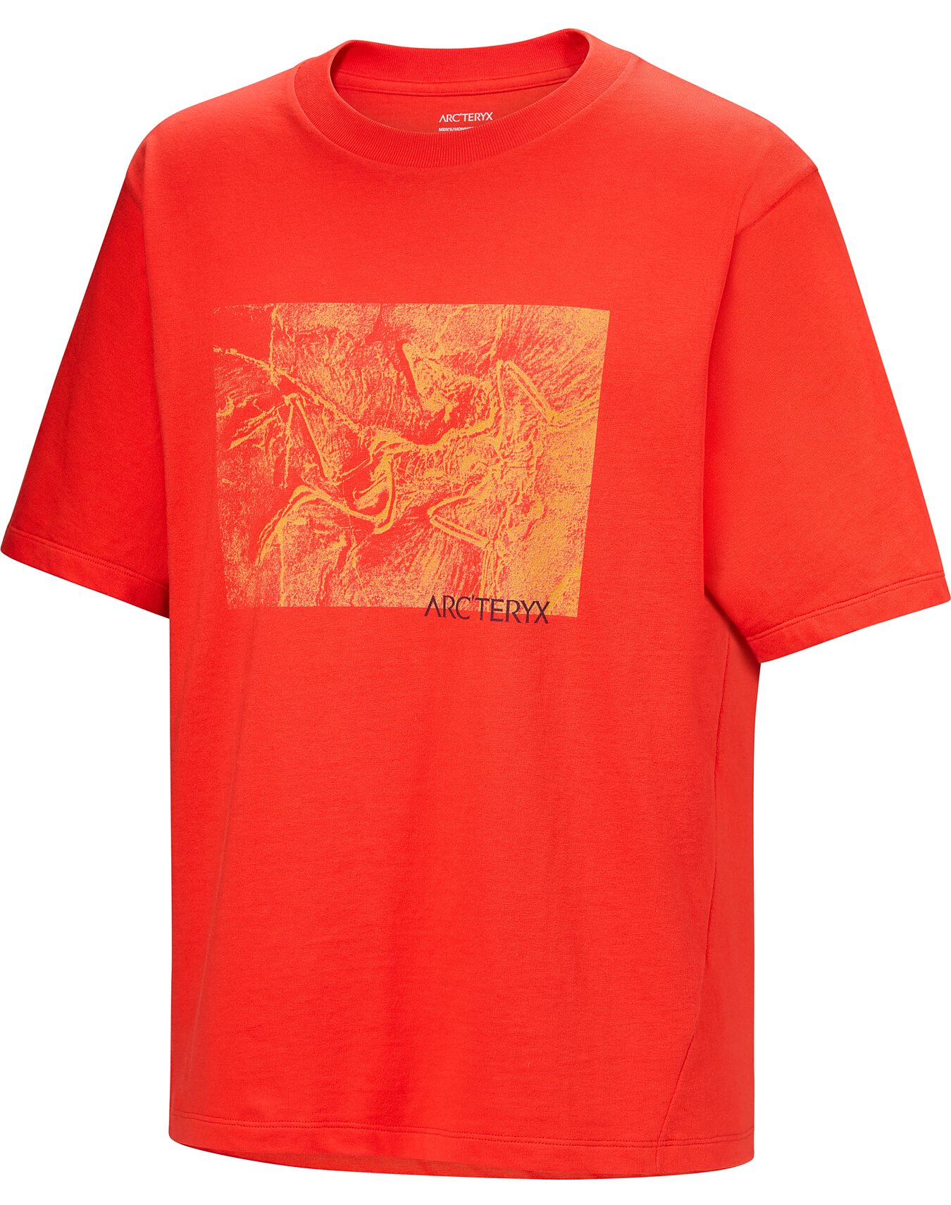 Kragg-Cotton-Lithographica- 