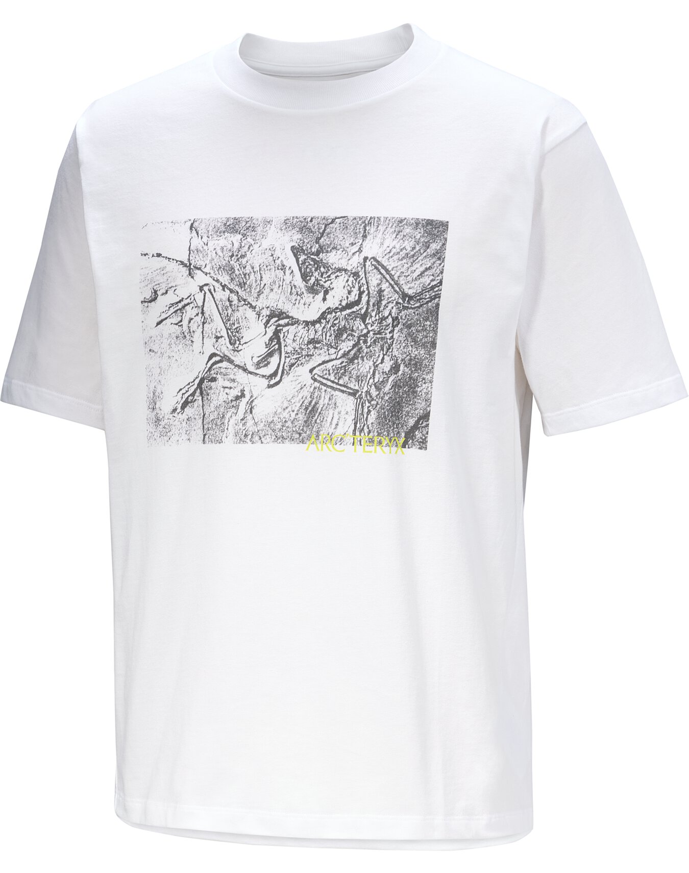 Kragg Cotton Lithographica Shirt SS Men's | Arc'teryx Canada