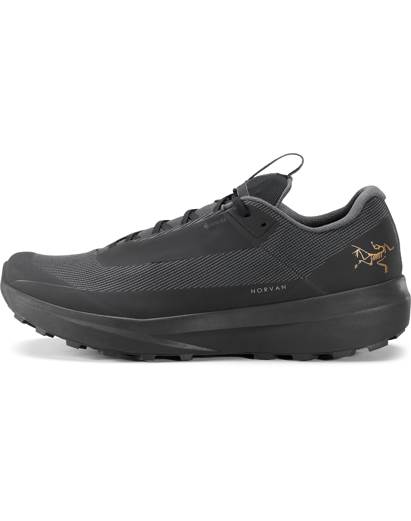 Norvan LD 4 GTX Shoe Men's | Arc'teryx United States