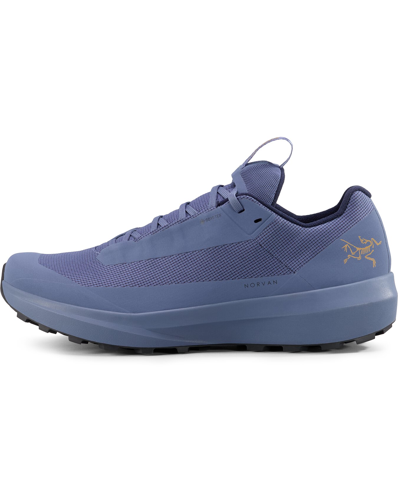 Norvan LD 4 GTX Shoe Men's | Arc'teryx United States