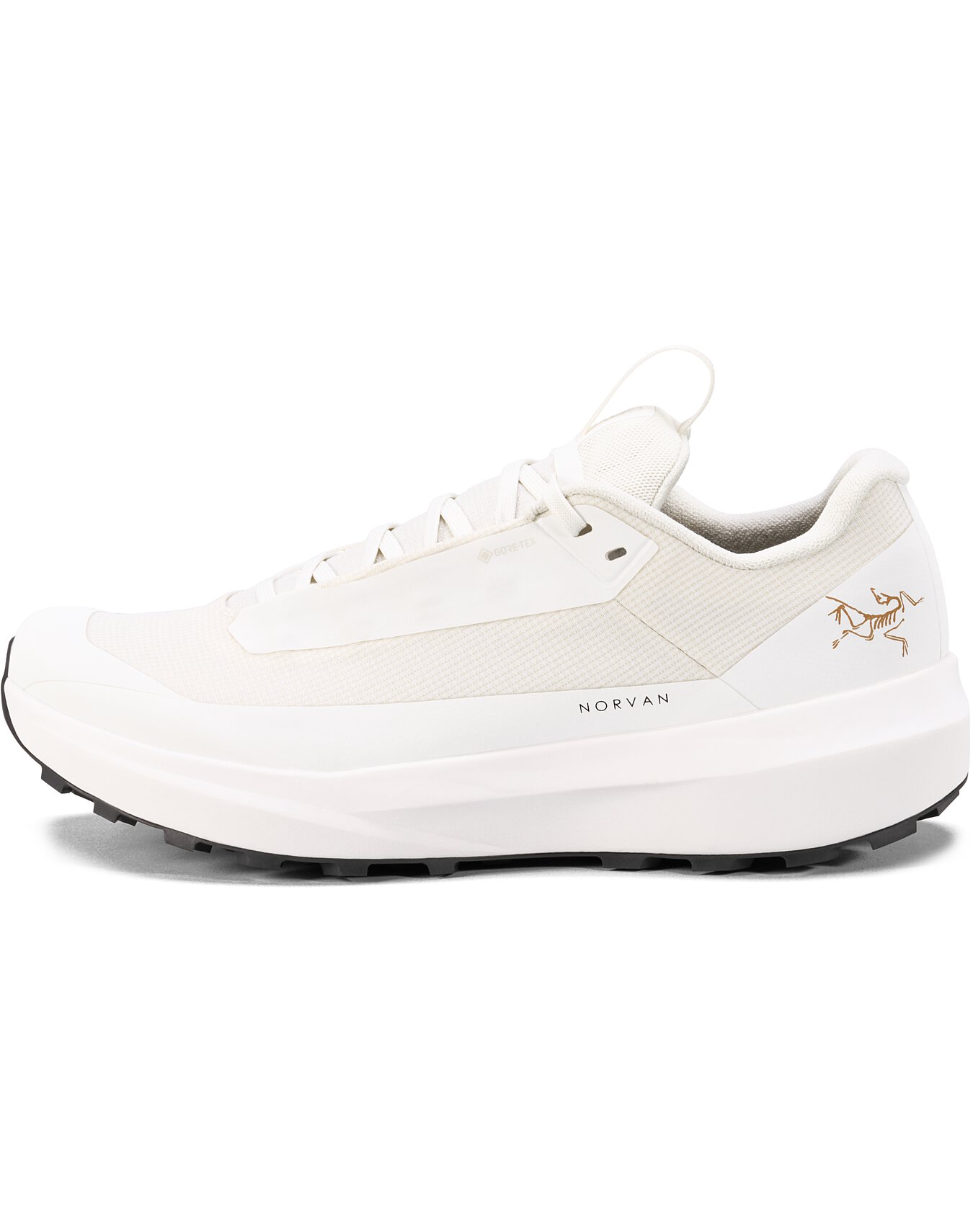 Norvan LD 4 GTX Shoe Women's