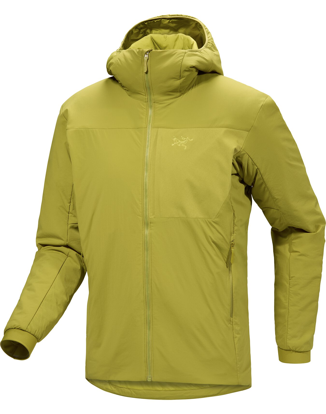 アークテリクス　プロトンLTフーディ　Lサイズ　arcteryx Proton Hoody Men's | Arc'teryx United States