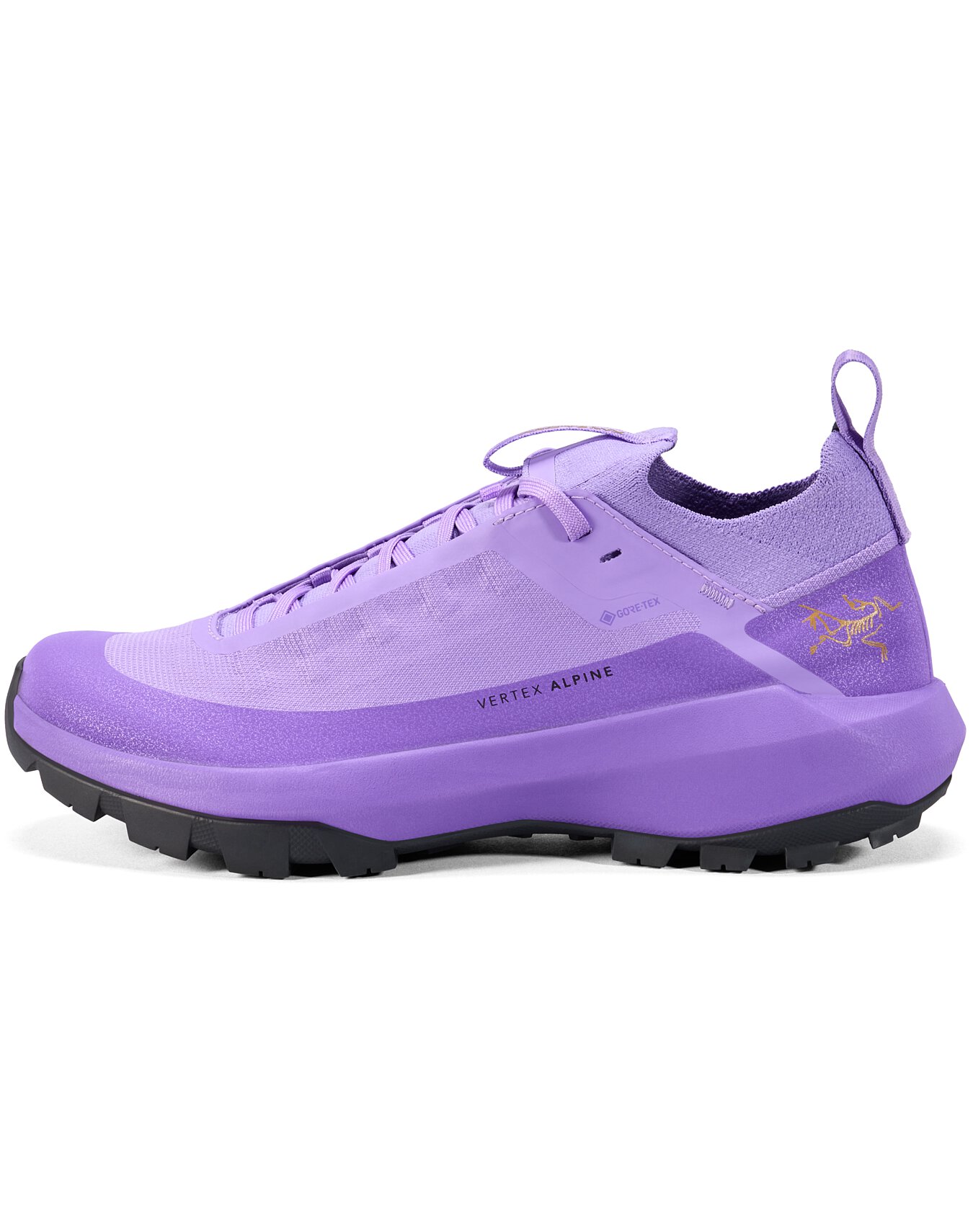 Vertex-Alpine-GTX-Shoe-W-Aster