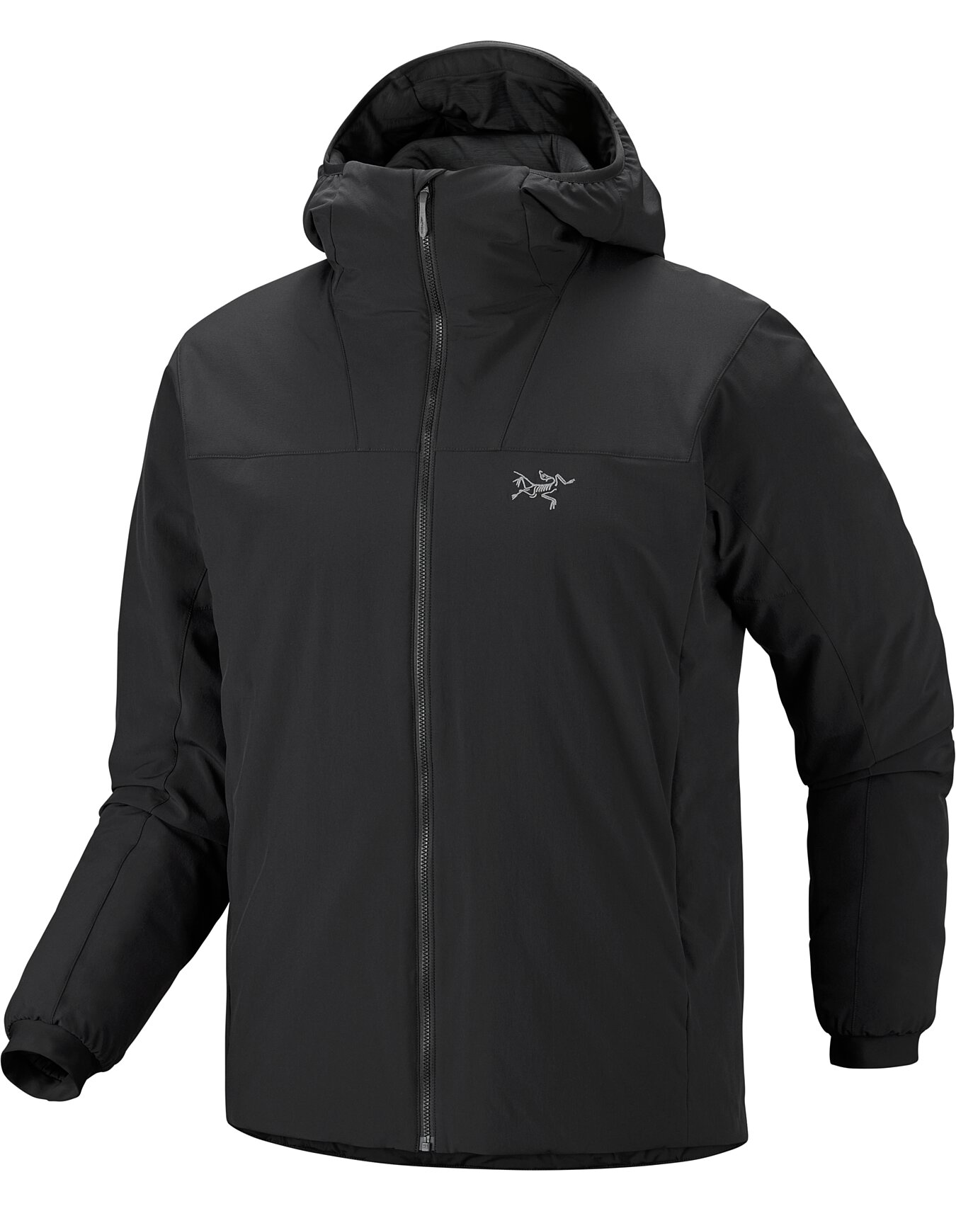 Epsilon Insulated Hoody Men's