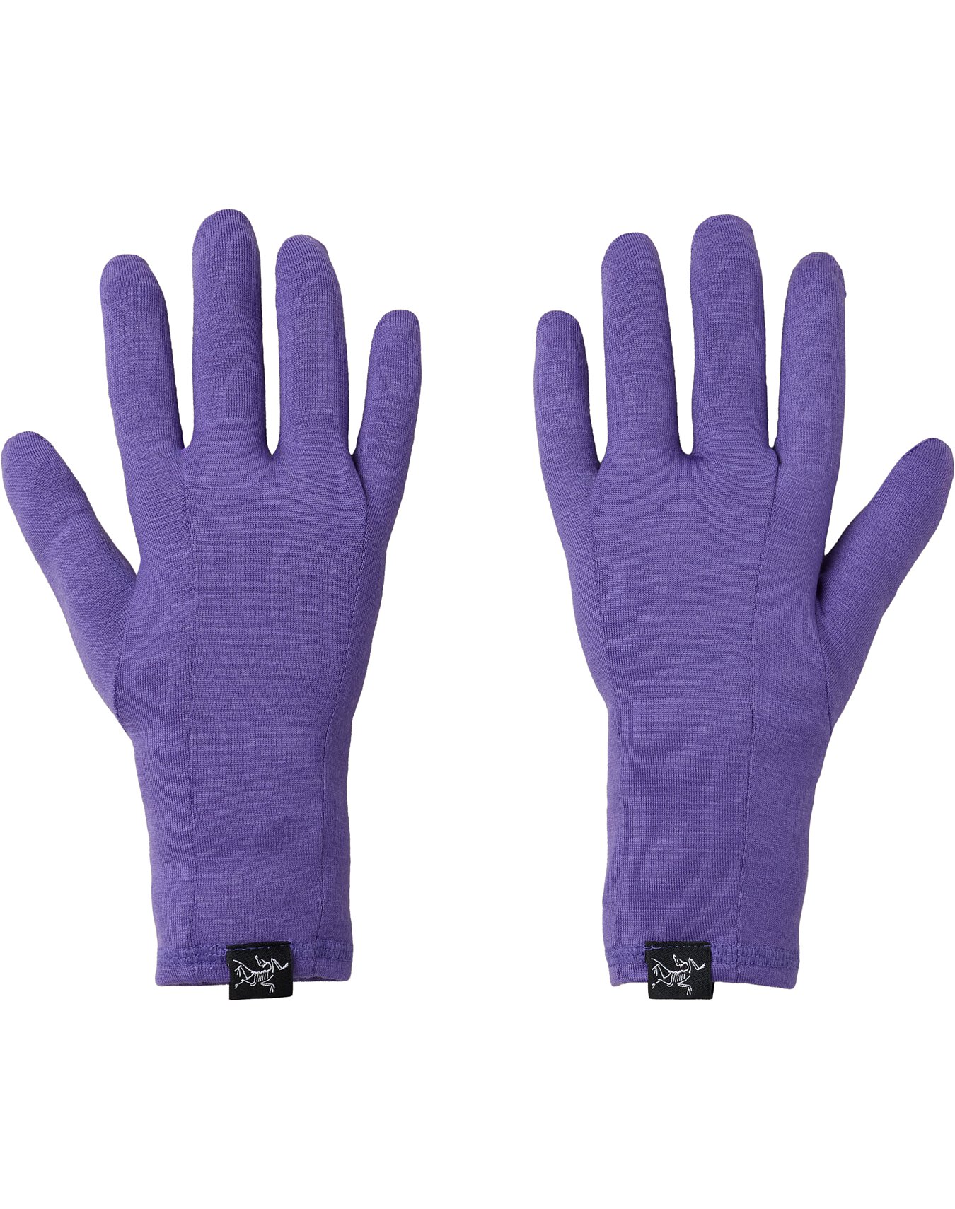 ケ*ン様 Arc’teryx Gothic Glove Gothic Glove | Arc'teryx United States