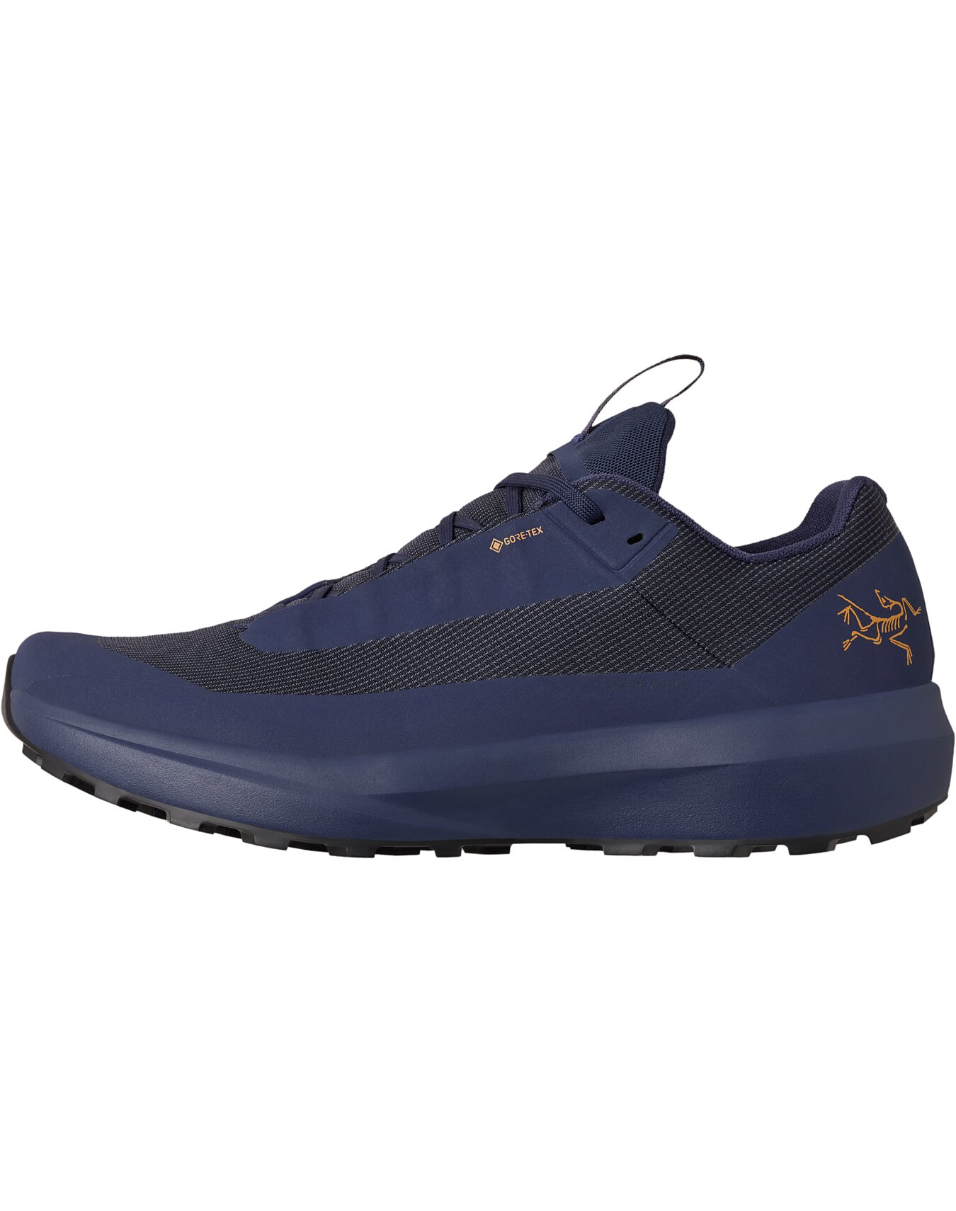Norvan LD 4 GTX Shoe Men's | Arc'teryx United States
