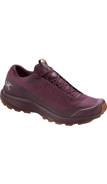 Arc'teryx Aerios FL GTX Shoe Men's