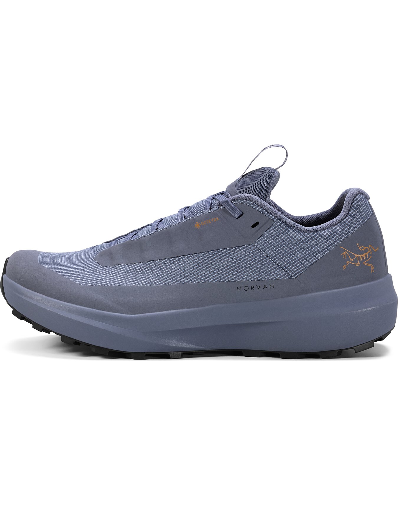 Norvan-LD-4-GTX-Shoe-W-Stratus