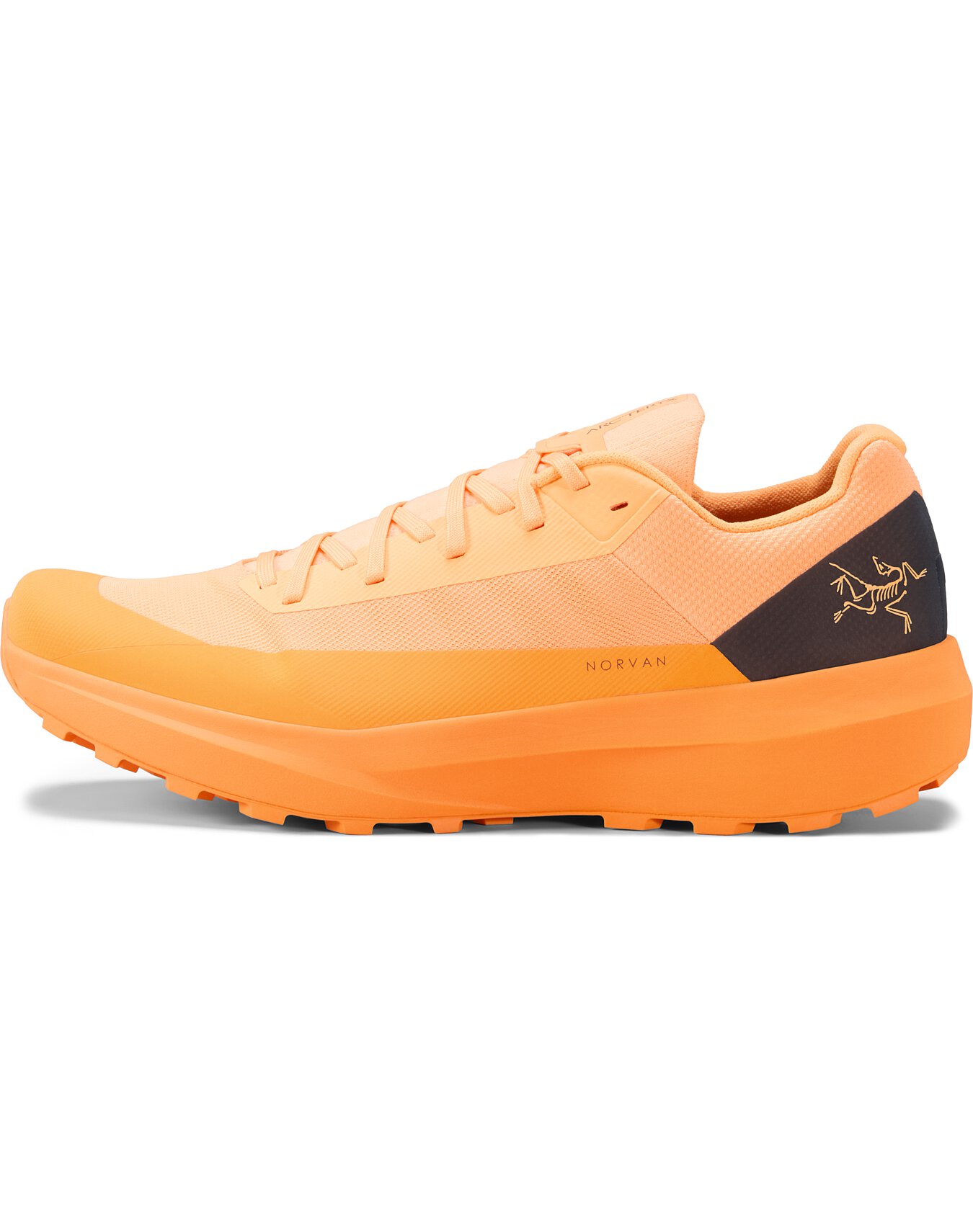 ④norix Norvan LD 4 GTX Shoe Men's | Arc'teryx Outlet