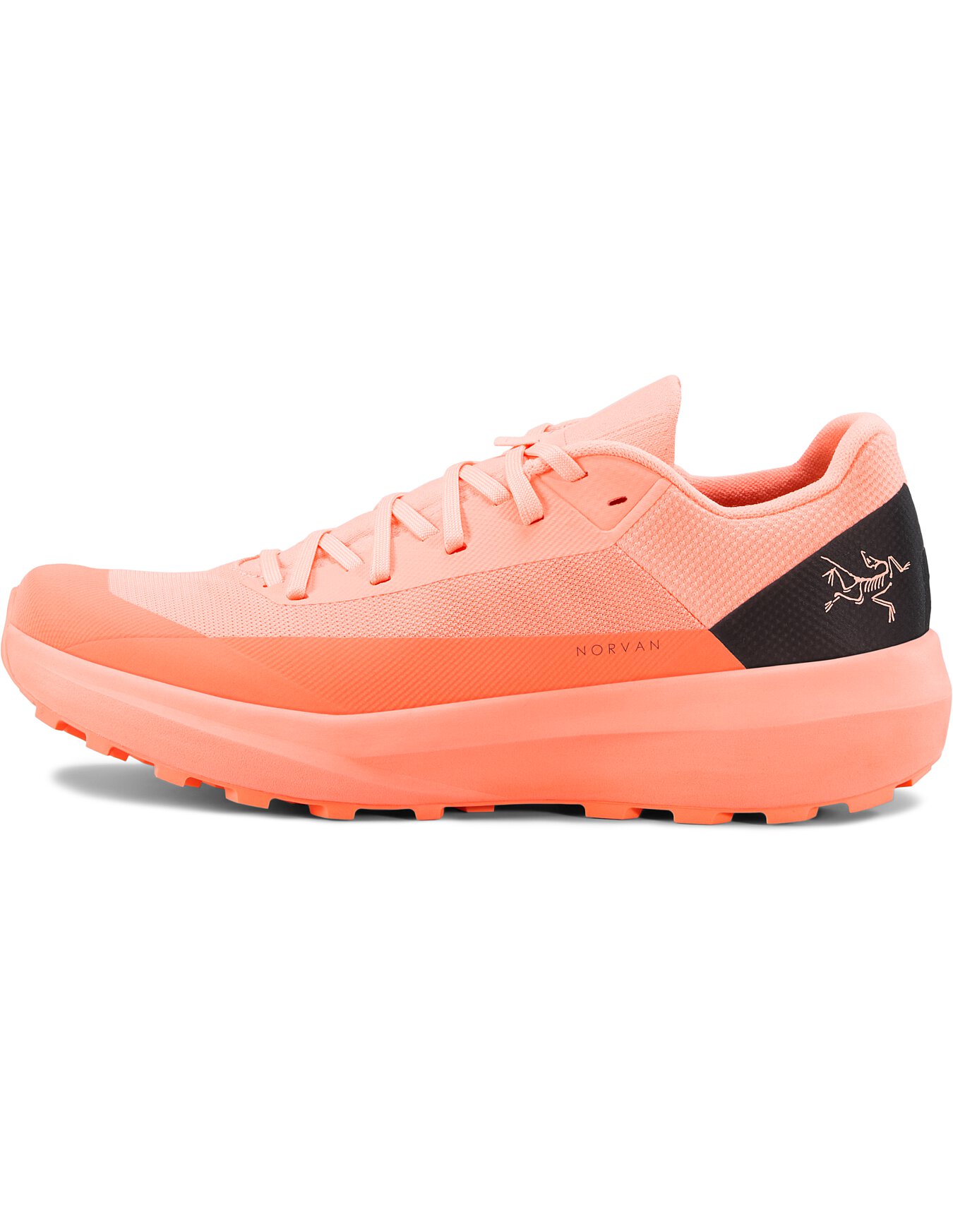 Norvan-LD-4-Shoe-W-Flicker-