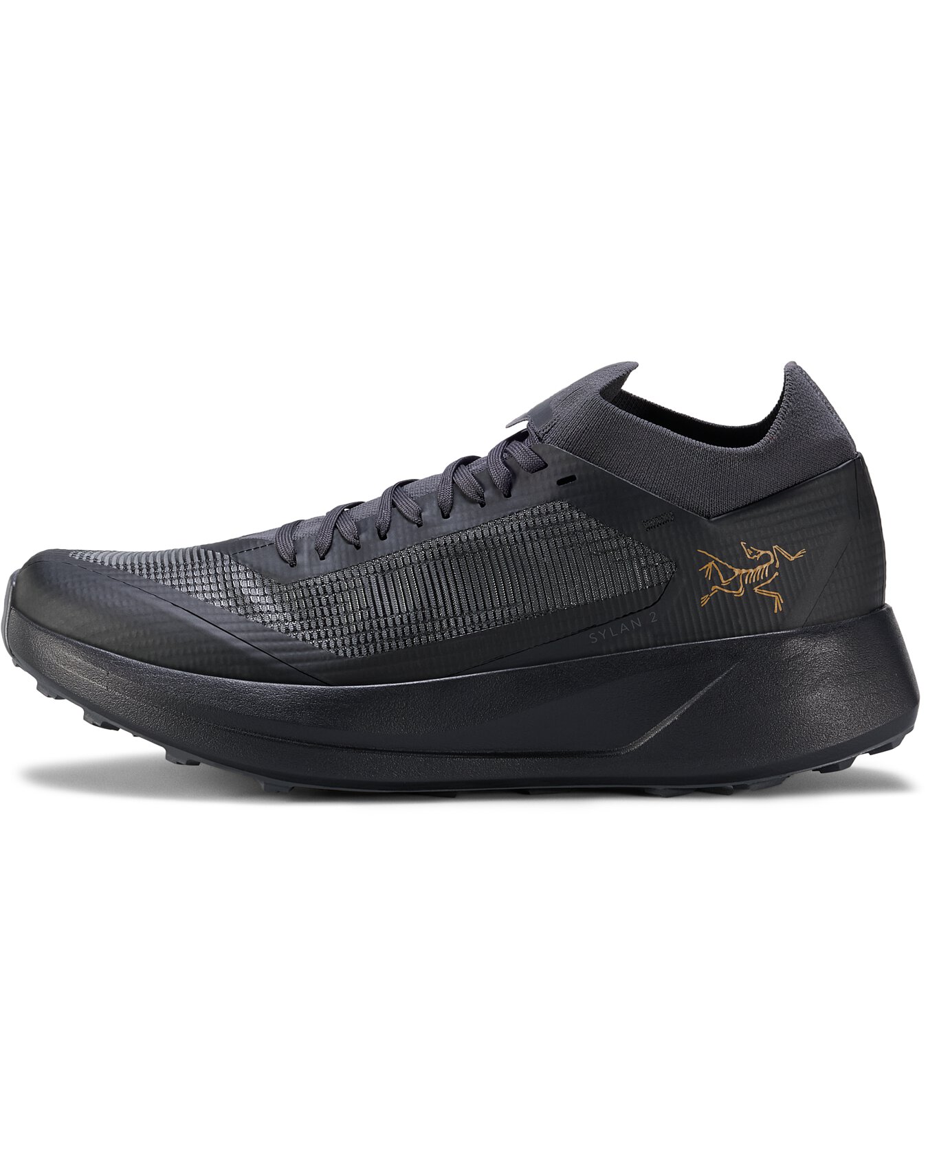 Sylan 2 Shoe Men display picture 3