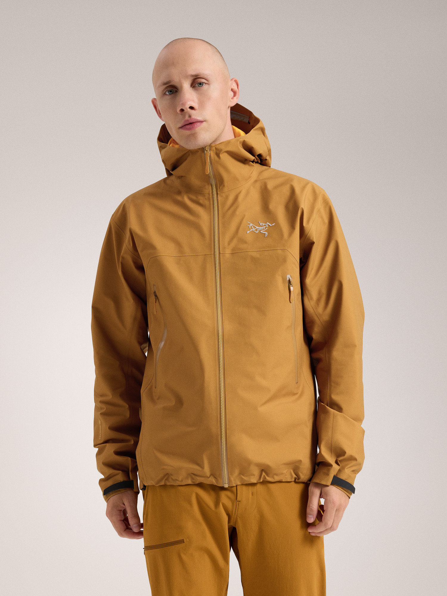 Men's Arc'teryx Beta AR Jacket, Mountaineering Waterproofs