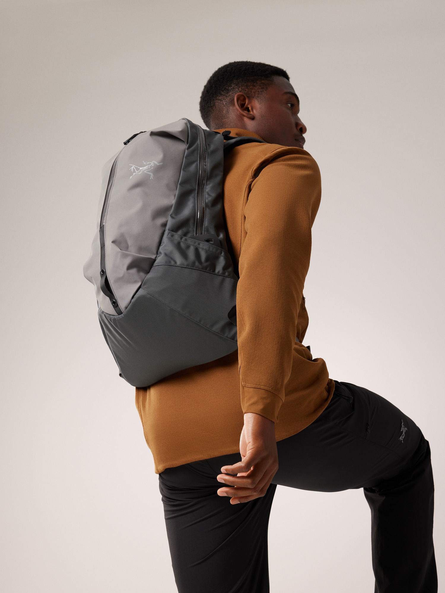 大得価通販】 ARC'TERYX - ARC'TERYX アークテリクス ARRO 22 BACKPACK ...