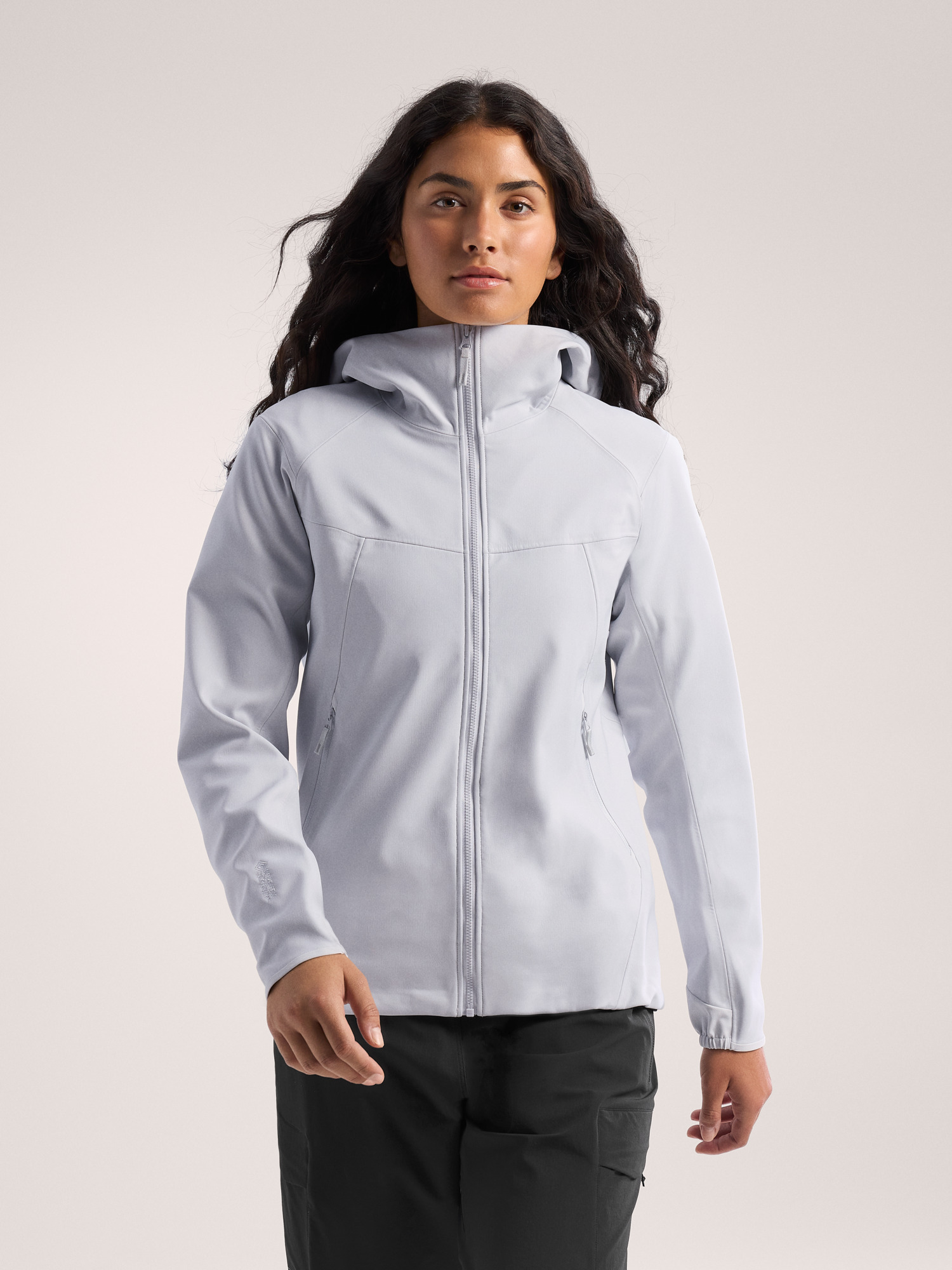 再々値下! arc'teryx アークテリクス ウィメンズ フーディ