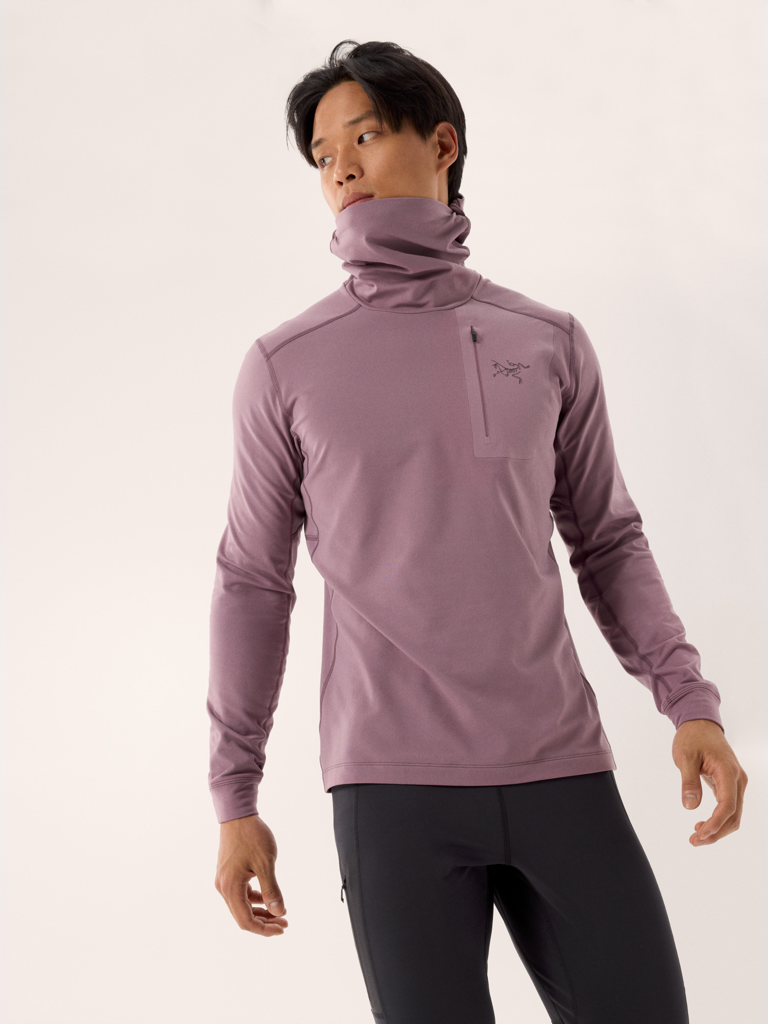 ⭐︎ARC'TERYX Rho LT Hoody⭐︎