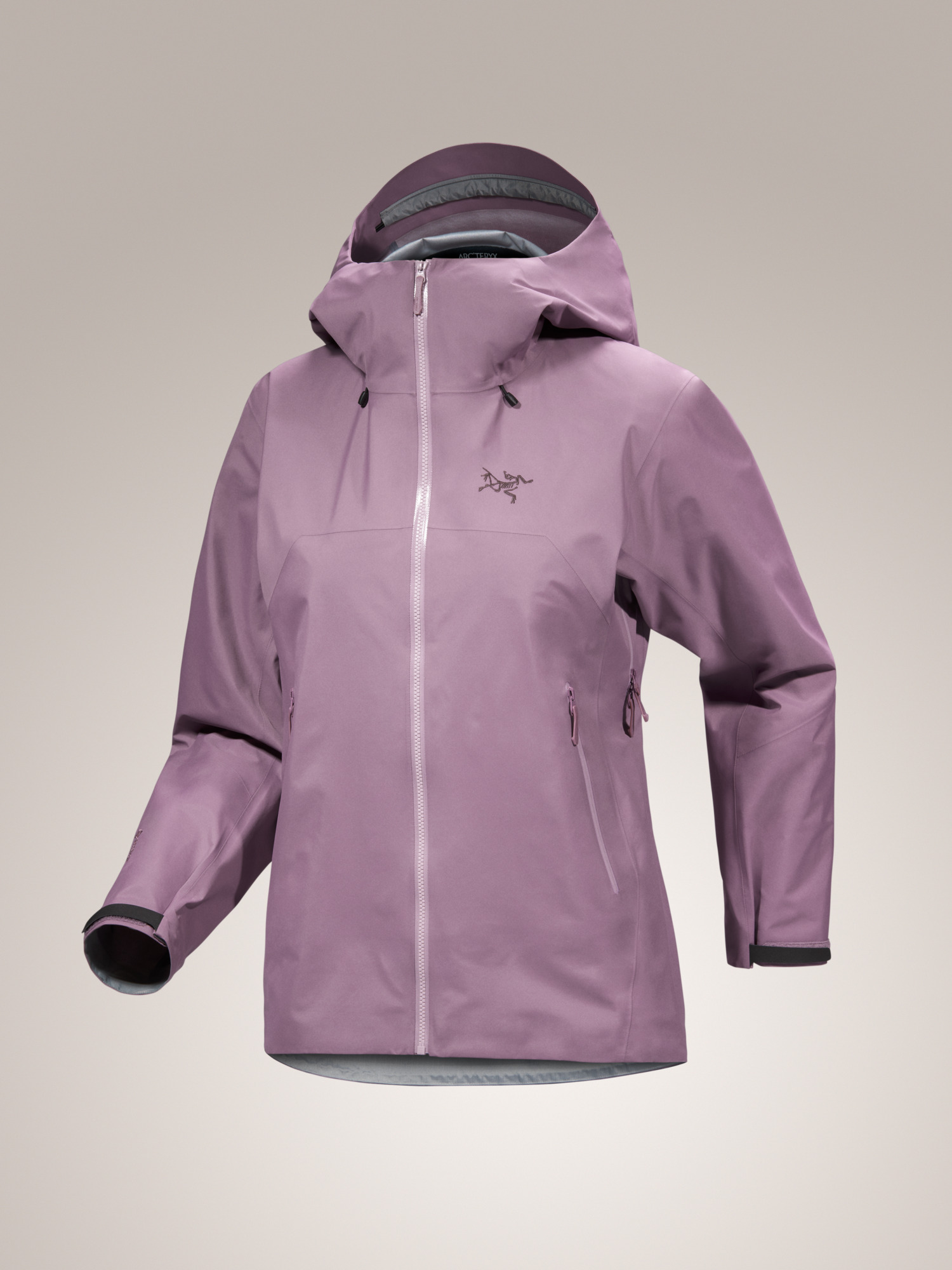 ARC'TERYX Beta SL Jacket ダークモス　M ArcTeryx Beta SL Jacket M