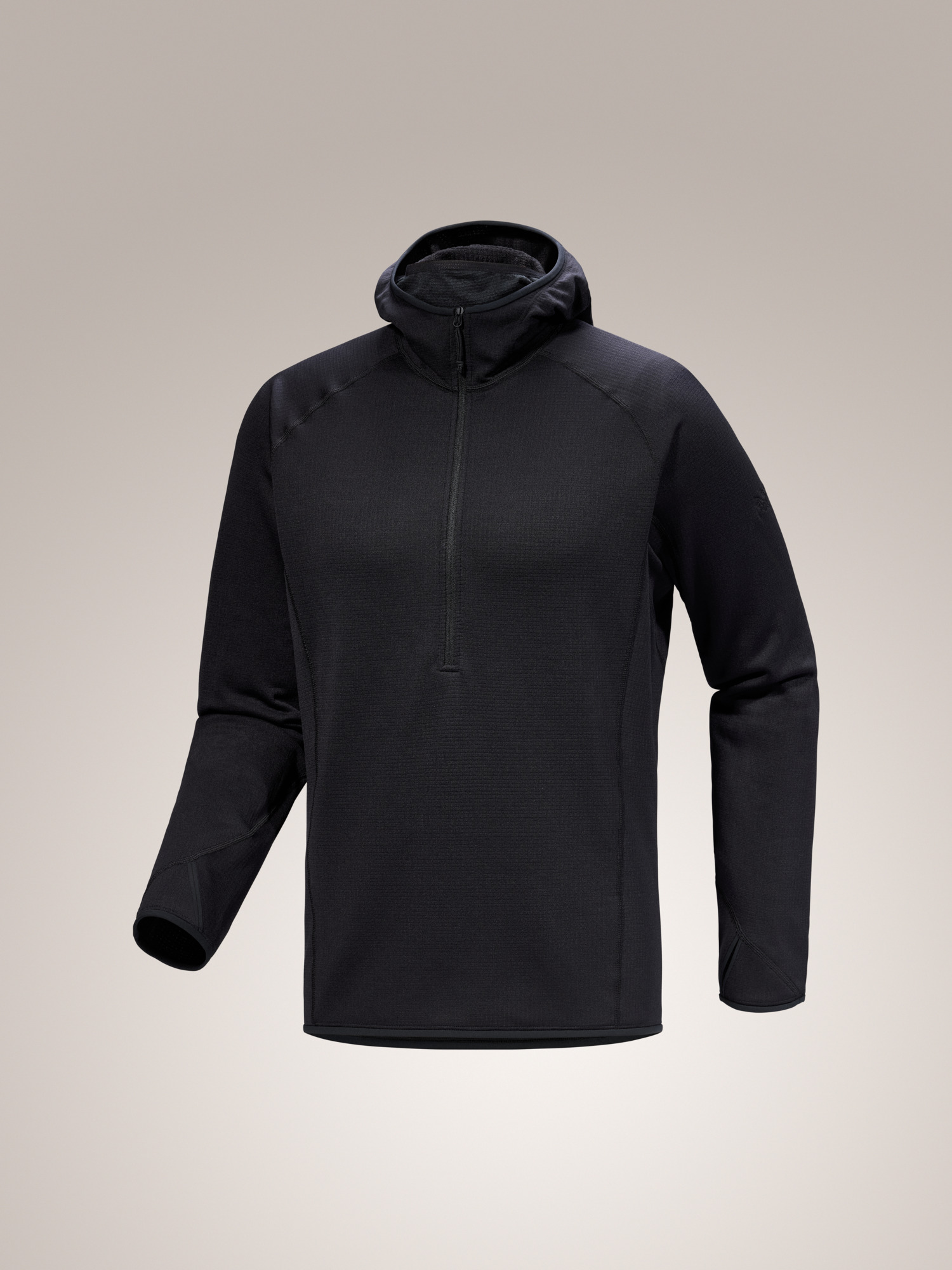 アークテリクス　delta lt zip neck 黒 Arc'teryx Black Delta LT Polartec Fleece Quarter Zip Long