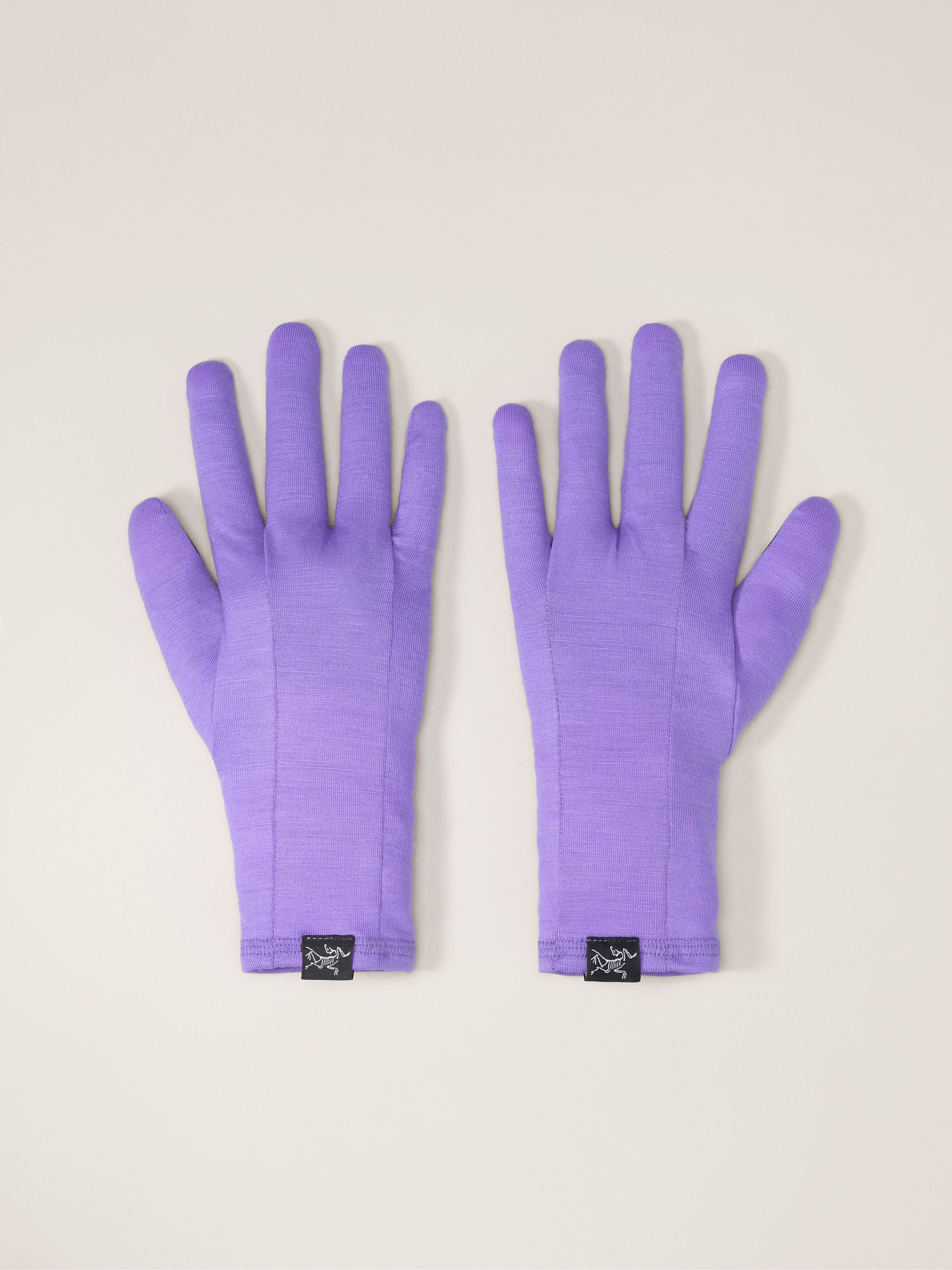 Gothic Glove | Arc'teryx United States