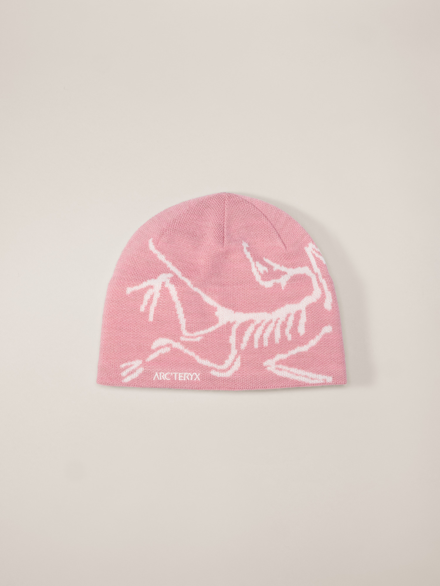 Bird Head Toque | Arc'teryx United States