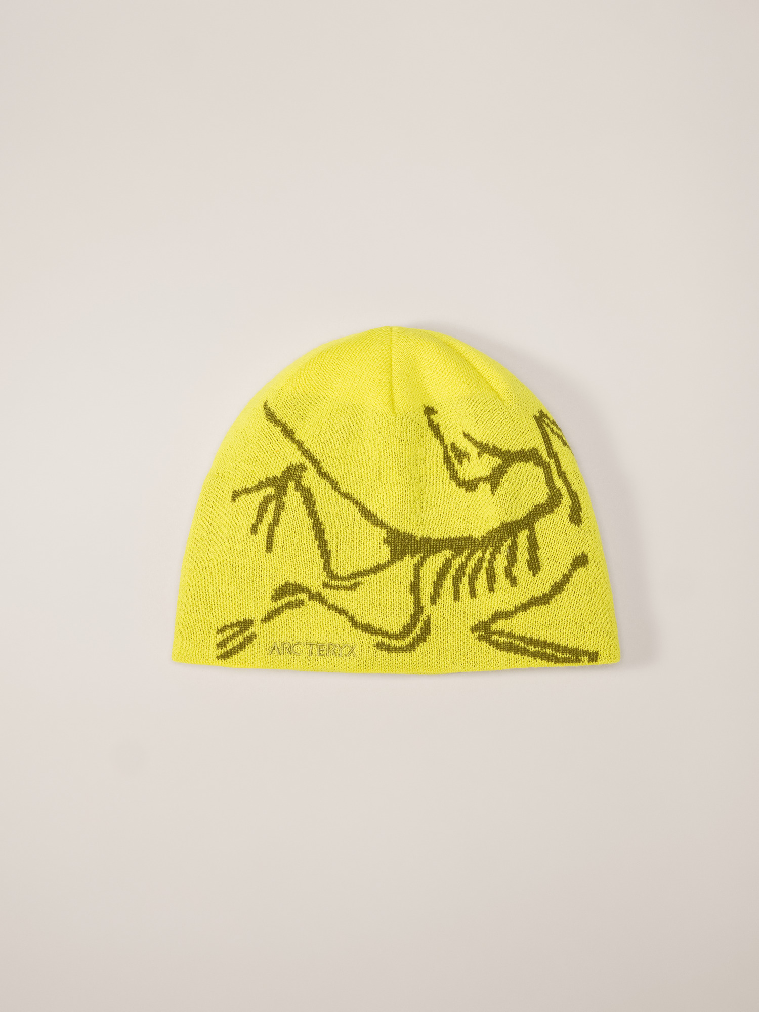 Bird Head Toque | Arc'teryx