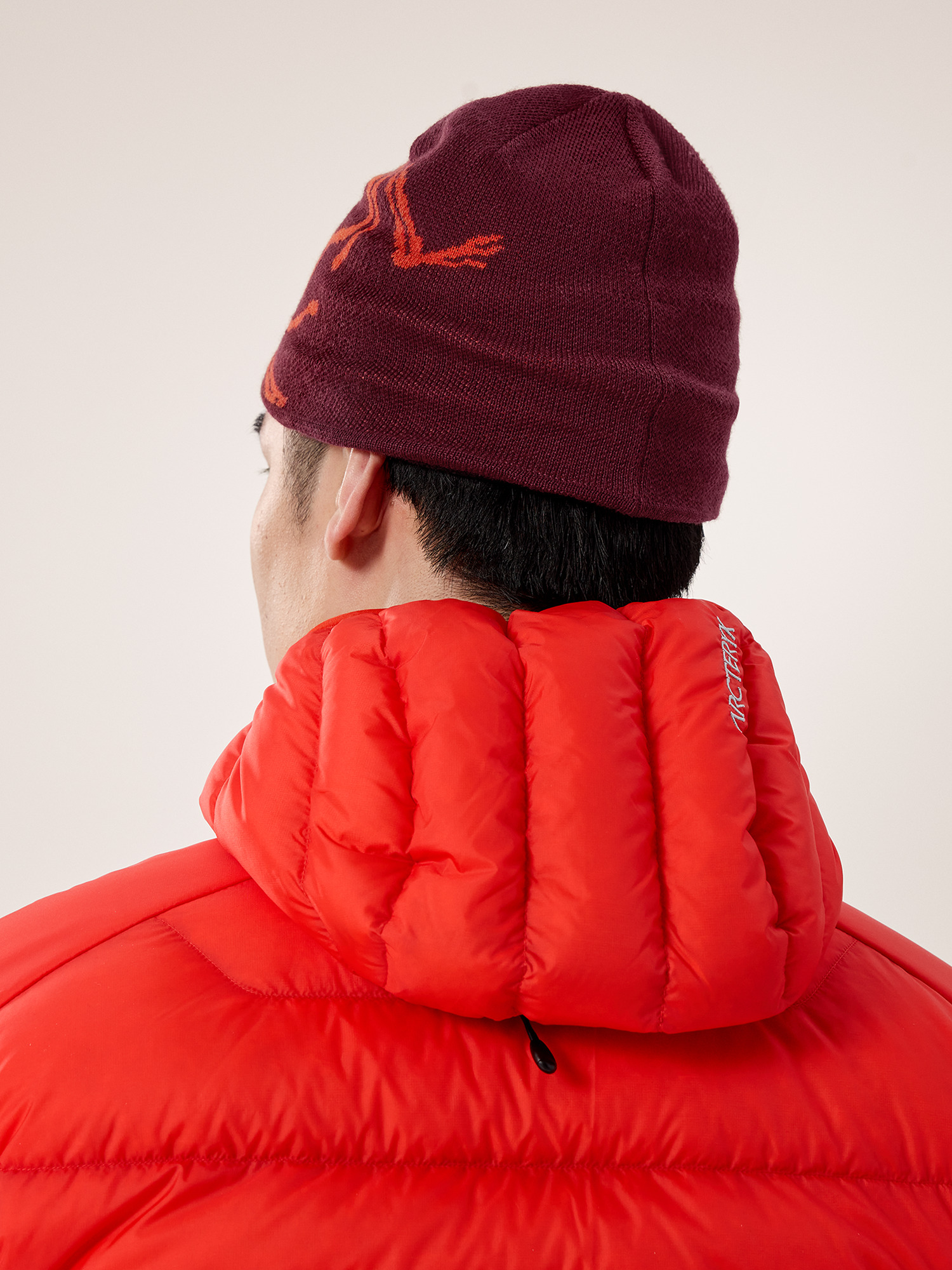 Bird Head Toque | Arc'teryx United States
