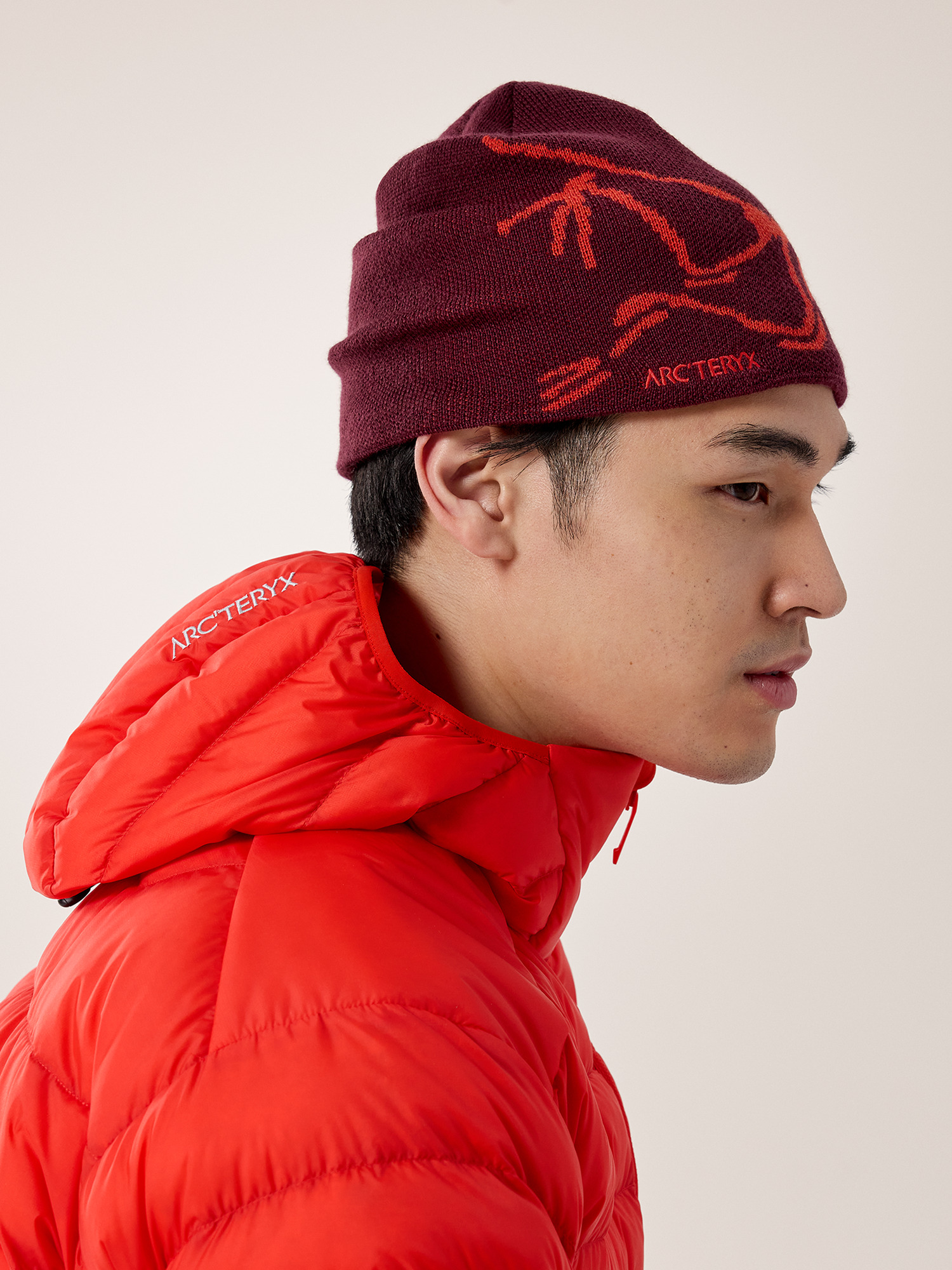 【26日発送】ARC'TERYX ビーニーBird Head Toque $_57.JPG?set_id=880000500F