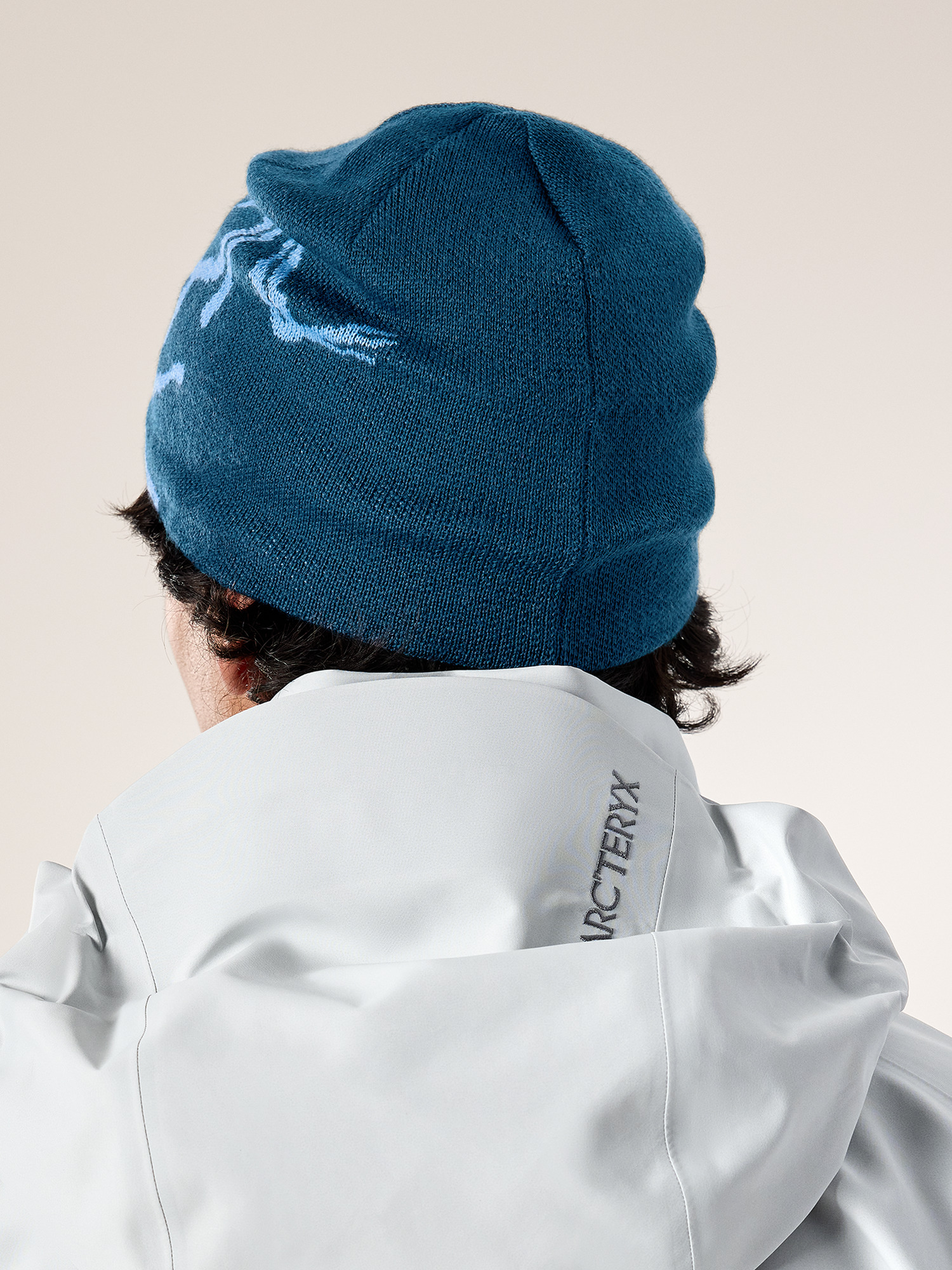Bird Head Toque | Arc'teryx United States