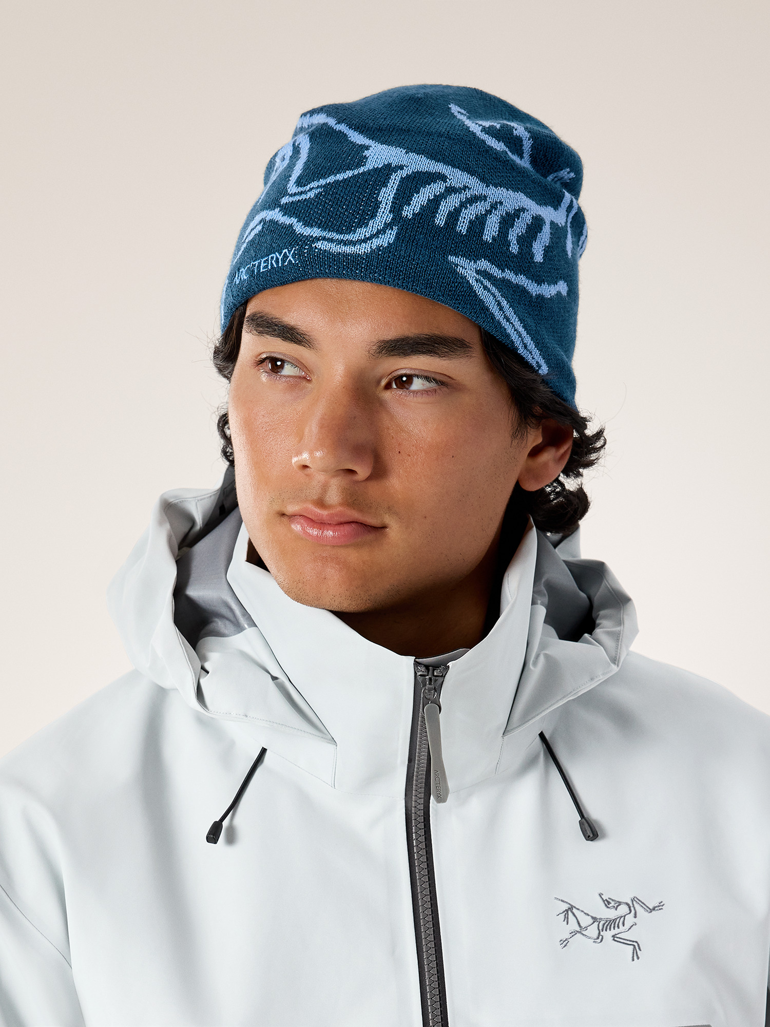 Bird Head Toque | Arc'teryx Canada