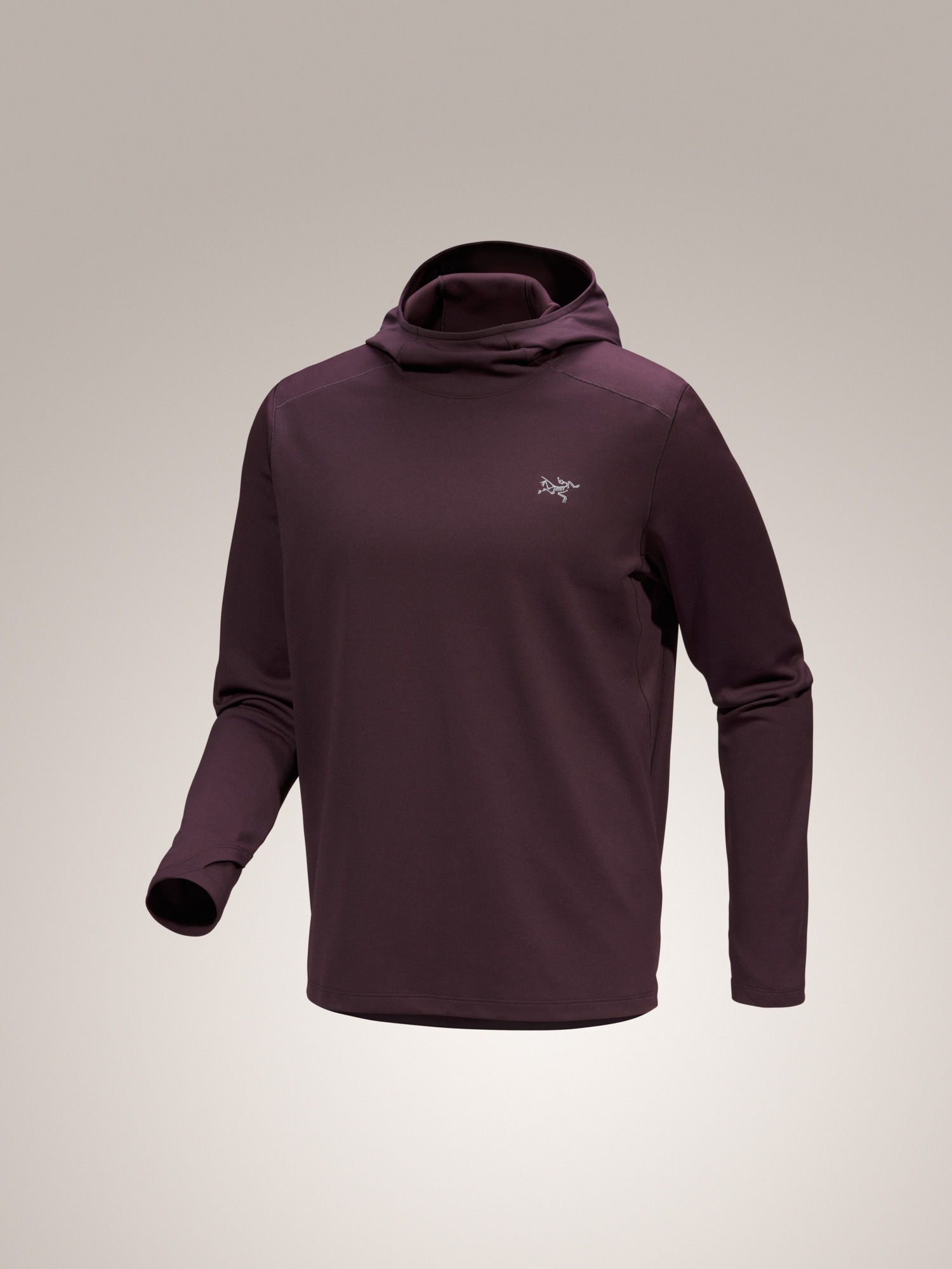 Cormac Heavyweight Hoody Men's | Arc'teryx Canada