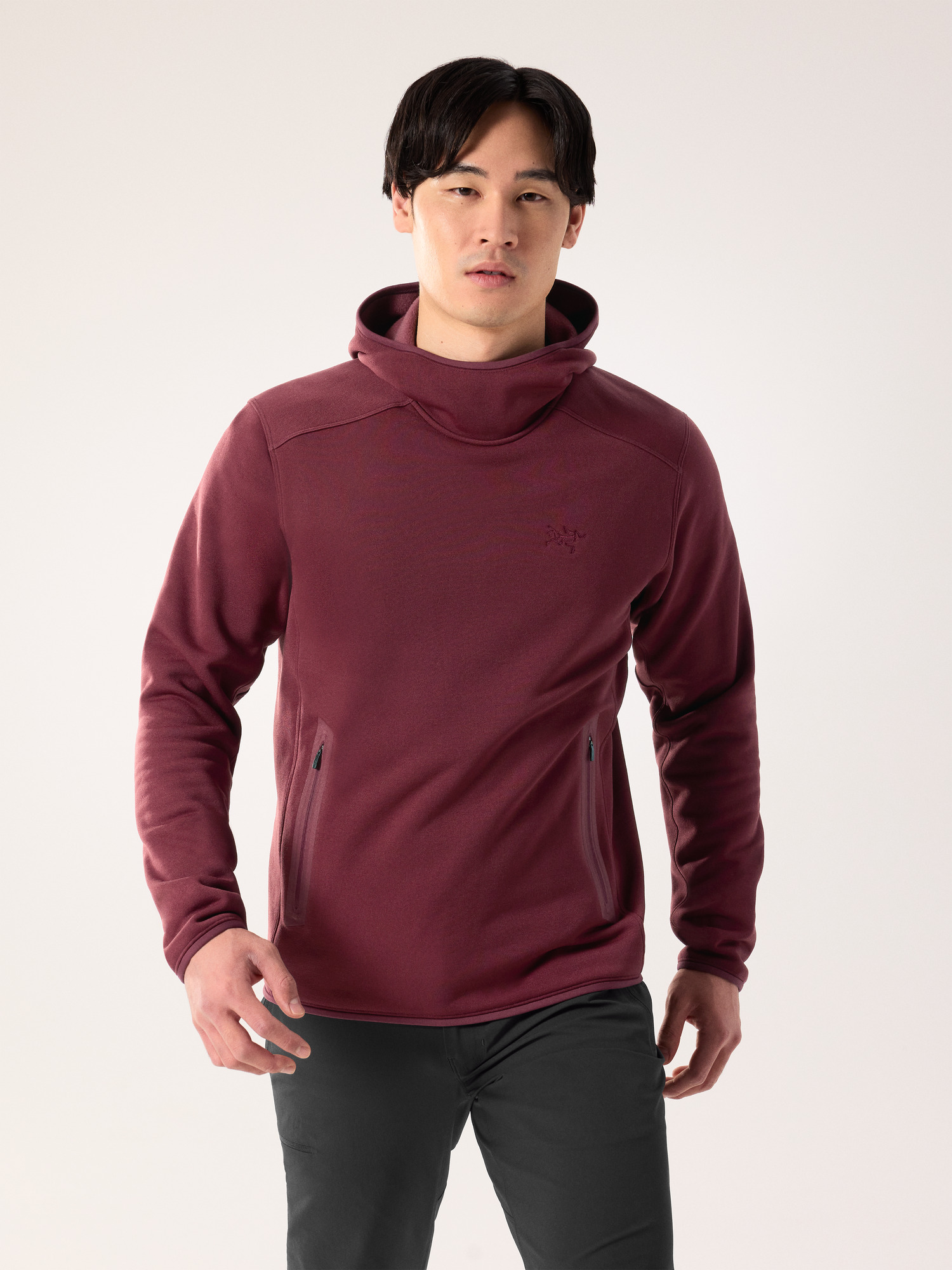 ARC'TERYX プルオーバーパーカー Kyanite 裏起毛 X000008444 Kyanite Pullover Hoody Men's | Arc'teryx