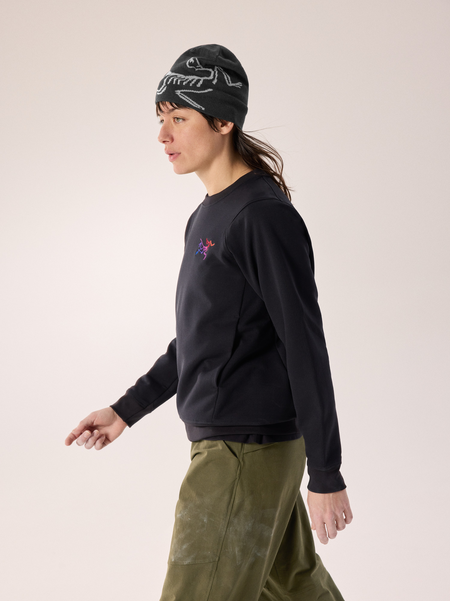 (取寄) アークテリクス レディース クルー Arc'teryx women Aestas Crew Black/Multi アエスタス クルー ウィメンズ – アークテリクス公式オンライン