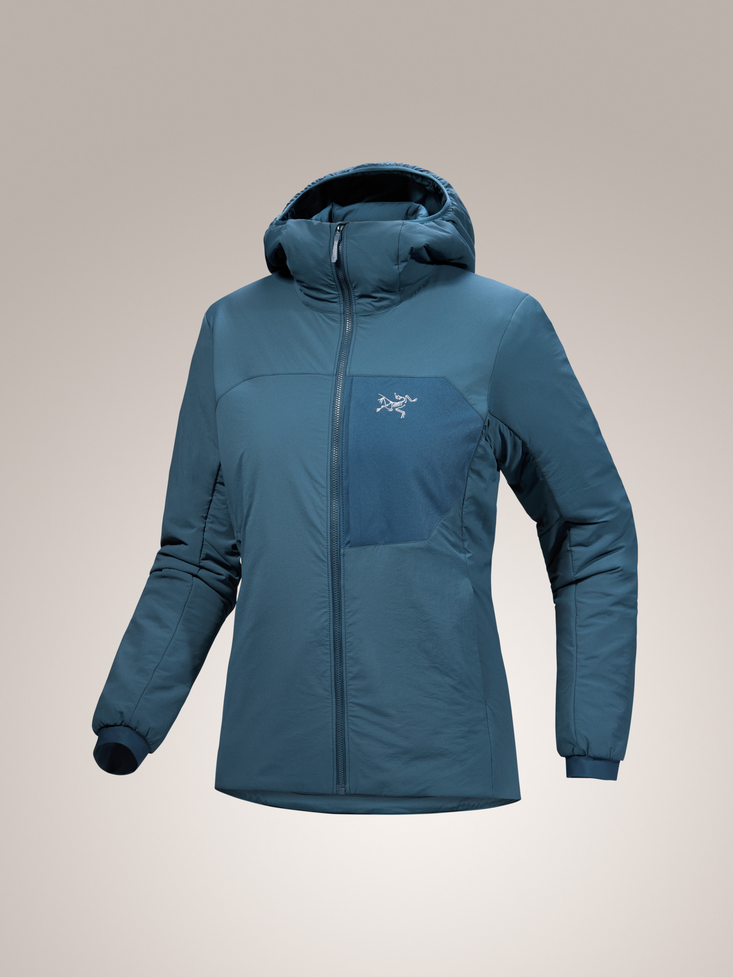 F25-X000009095-Proton-Hoody-