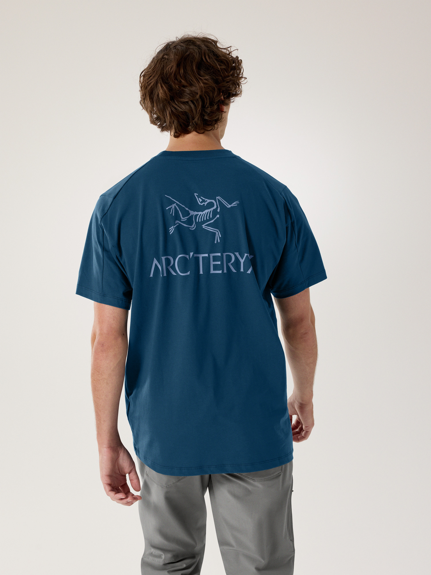 トップス ARC'TERYX Kragg SL Cotton Bird Word SS M Shop Mens Kragg SL Cotton Bird Word SS - Alpine Blue / Stone