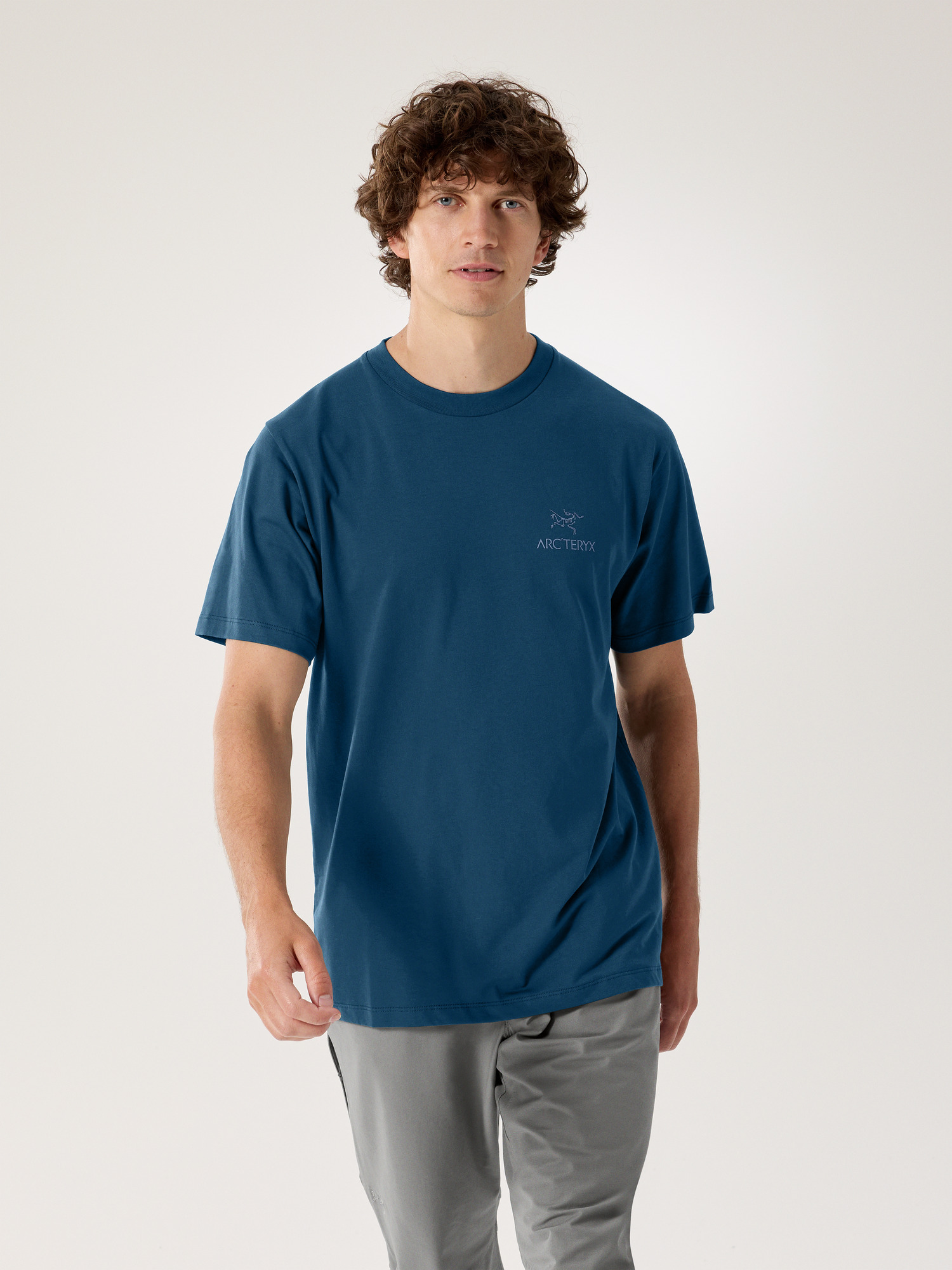 トップス ARC'TERYX Kragg SL Cotton Bird Word SS M Shop Mens Kragg SL Cotton Bird Word SS - Alpine Blue / Stone