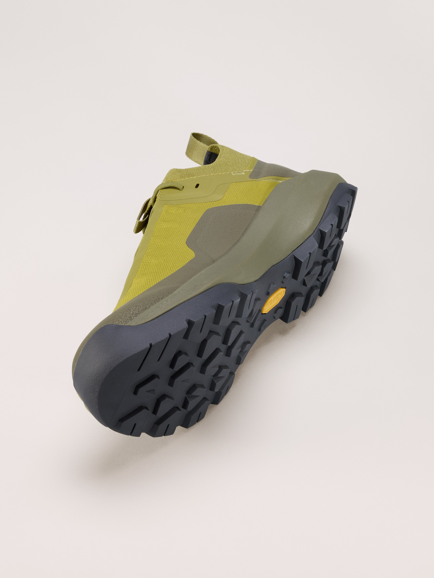 Vertex Alpine GTX Shoe Men's | Arc'teryx United States