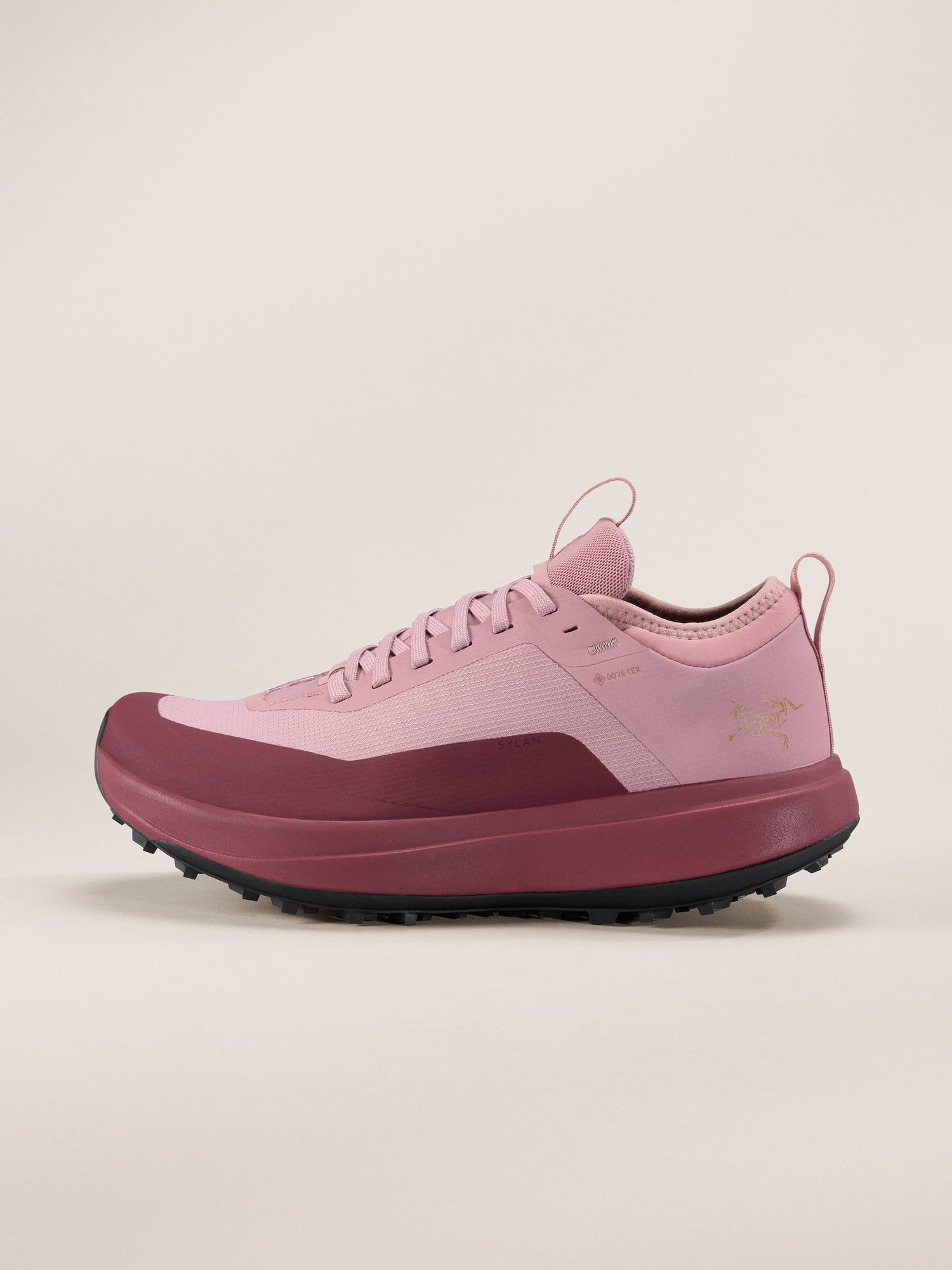 Sylan GTX鞋女装| Arc'teryx 美国