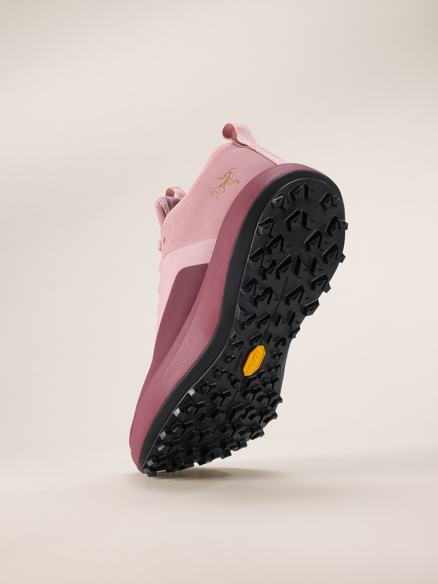 (取寄) アークテリクス レディース サイラン Gtx Arc'teryx women Sylan GTX Dark Bliss/Mars Sylan GTX Shoe Women's | Arc'teryx United States